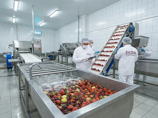 Hammadde Hazırlık ve Kalite Kontrol